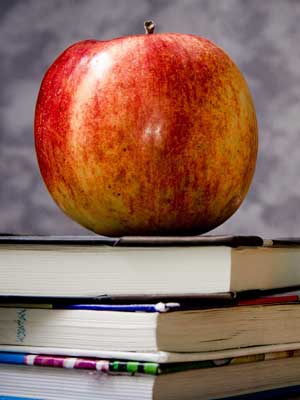 【一键安装】便捷的ddos网页端